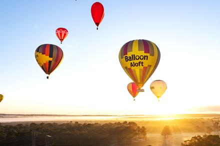 Hunter Valley: Breathtaking Sunrise Hot Air Balloon Flight with Gourmet Breakfast & Sparkling Wine Tasting