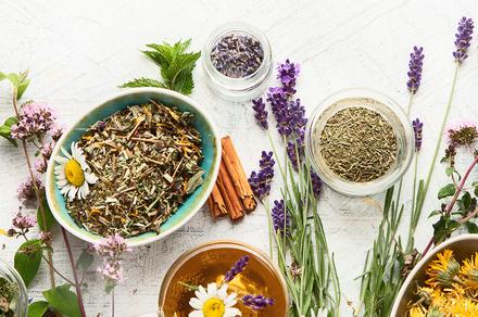 Master Herbalist Online Course