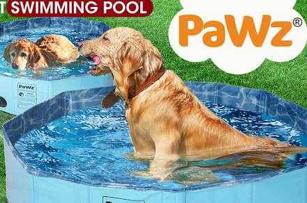 Portable Pet Swimming Pool
