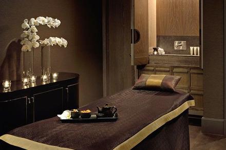 Hour-Long Massage or Facial at Luxury Day Spa with Upgrades