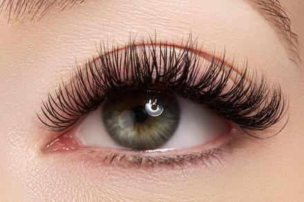Full Set of Classic or Mink Volume Eyelash Extensions in Woden