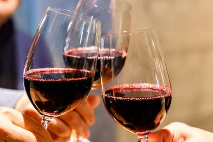Mixed Mystery Red Wine Dozens
