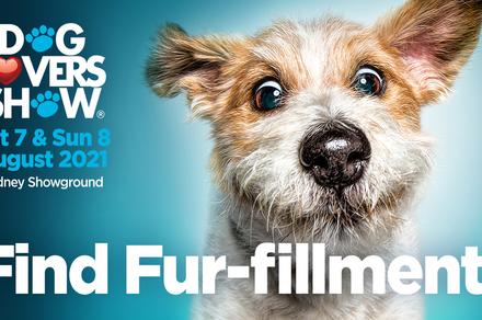 Entry Ticket to the Dog Lovers Show 2021 at Sydney Showground