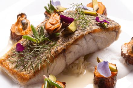 Sydney: Eight-Course or Twelve-Course Tasting Menu Experience at Chef-Hatted Quoi Dining 