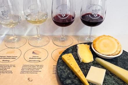 Canberra: Paired Wine Tasting with Cheese or Chocolates in Murrumbateman