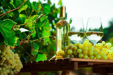 12 Bottles of Mystery Clare Valley Riesling
