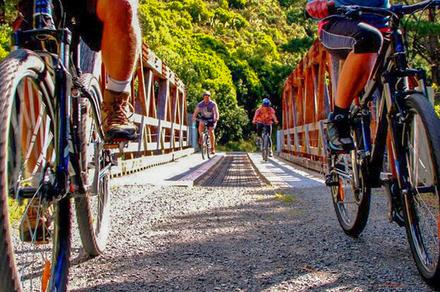 Comfort Mountain Bike Hire with Shuttle in Upper Hutt