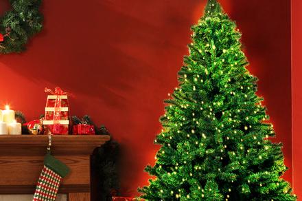 Santaco Christmas Tree with LED Fairy Lights 