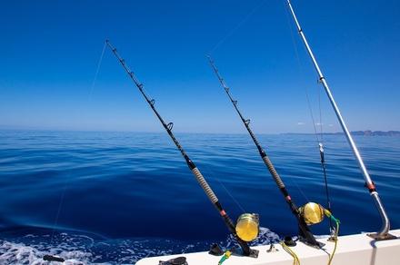 Half-Day Deep Sea Fishing Charter from Rose Bay