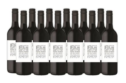 12 Bottles Big Little Label Shiraz McLaren Vale 2018