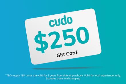 $250 Cudo e-Gift Card