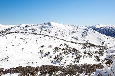 One-Day Perisher Snow Tour with CBD or Paramatta Pick-up