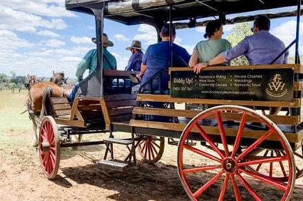 Hunter Valley: Horse & Carriage Wine Tour with Wine & Produce Tastings