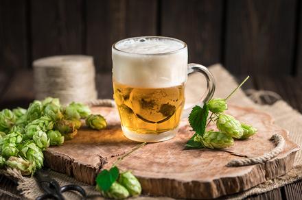Home Brewing Beer Online Course