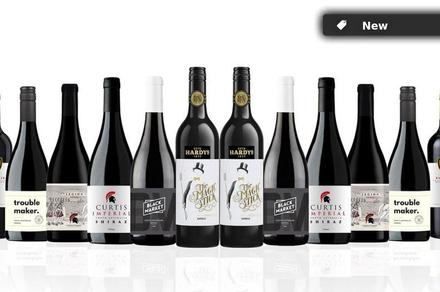 Smashing South Australian Mixed Shiraz Dozen