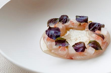 Sydney: Six-Course Winter Degustation Dining Experience at the Iconic Chef-Hatted Berowra Waters Inn with Roundtrip Ferry Transfers