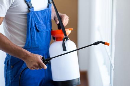 Pest Control Treatment - Upgrade for Termite Inspection