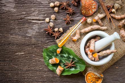 Discover the Power of Ayurveda with an Online Course!