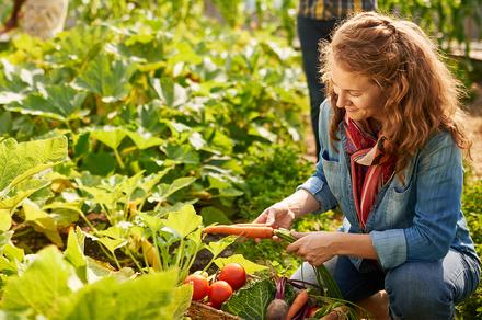 Natural Organic Gardening Online Course