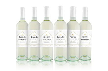Six Bottles of 2018 Riondo Pinot Grigio