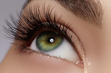 Eyelash Extensions with Brow Wax Upgrade in Wentworthville