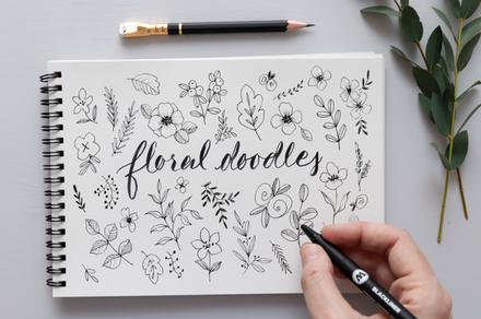 Drawing and Illustration Online Course for Beginners