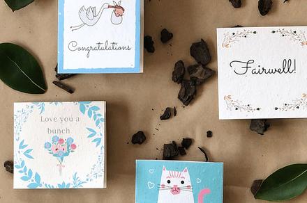 Plantable Cards with Personalised Gift Tag