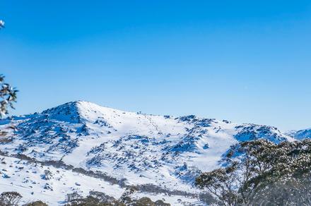 Canberra: Explore the Snowy Mountains on a Full-Day Snow Trip with Bus Transfers to Bullocks Flat Skitube & Thredbo