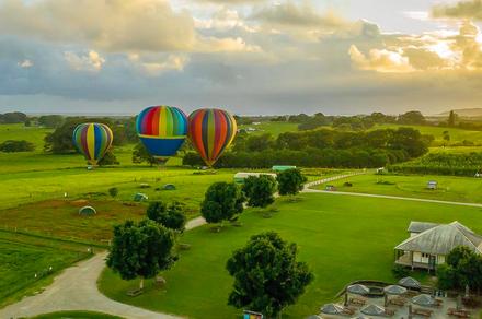Byron Bay: Sunrise Balloon Flight & Gourmet Breakfast at Three Blue Ducks