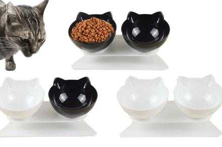 Anti-Vomiting Cat Bowl