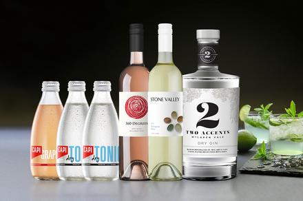 Dry Gin, Mixers and Bottles of Wine Combo Pack