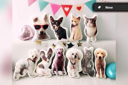Great Gift Idea: Personalised 3D Pet Pillow