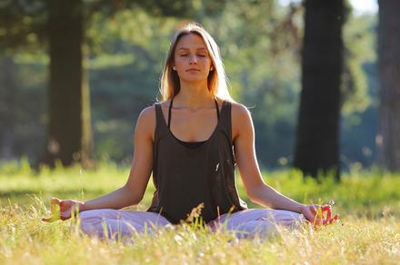 Jamberoo Yoga Retreat with Vegetarian Meals and Accommodation