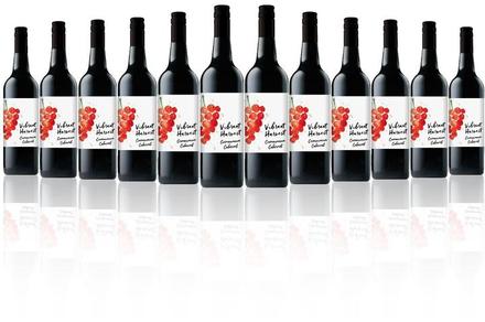 12 Bottles of Vibrant Harvest Coonawarra Cabernet Sauvignon 2016 