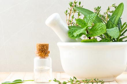 Master Herbalist Online Short Course