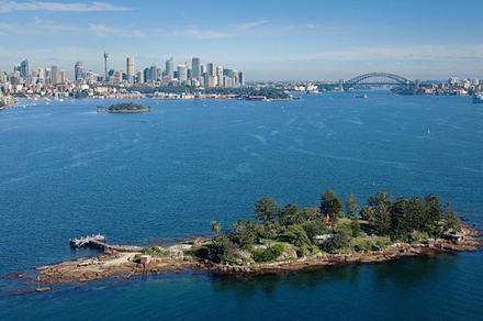 Sydney Harbour Discovery Cruise to Shark Island with BBQ