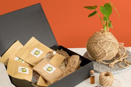 DIY Kokedama Kits with Personalised Tag