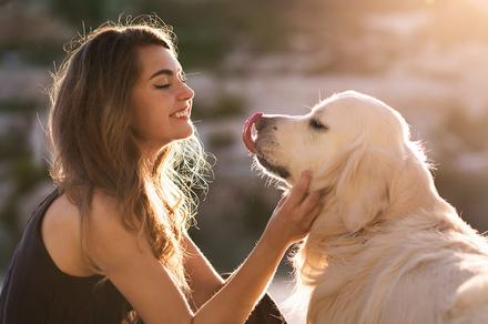 Choice of 10 Online Pet Care Courses