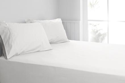 Ardor 300TC White Cotton Fitted Sheet Combo w/ Two Pillowcases for Mega King Bed