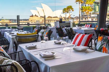 Sydney: Harbourfront Two or Three-Course Dining Experience with Drinks at The Rocks for Two 
