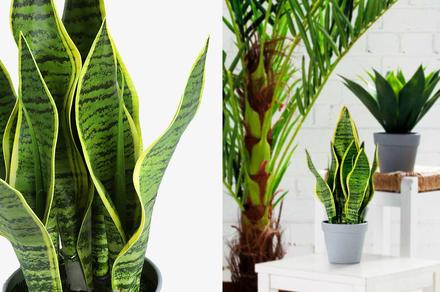 Artificial Potted Tiger Piran Plant
