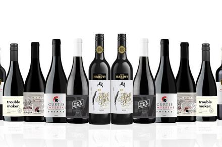 Smashing South Australian Mixed Shiraz Dozen