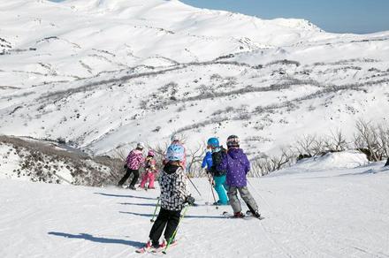 Canberra: One-Day Perisher & Thredbo Snow Tour with Roundtrip Transfers from Canberra