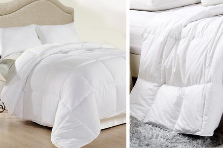 Royal Comfort Duck Feather And Down Quilt | 500GSM