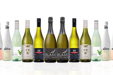 Light and Bright Mixed Dozen ft. Wolf Blass Prosecco