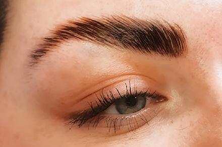 Lamination Brows Online Course