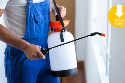 Price Drop! Pest Control Treatment - Upgrade for Termite Inspection