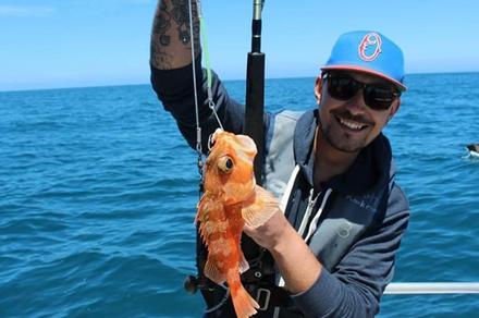 Three-Hour Cray and Fishing Charter in Kaikoura