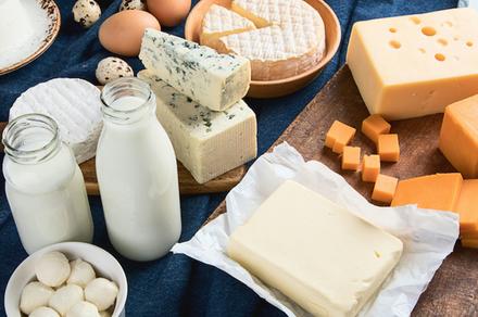 Introduction to Cheese Making Online Course