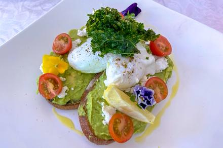 Breakfast with Tea or Coffee in Balmain